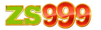 ZS999 logo